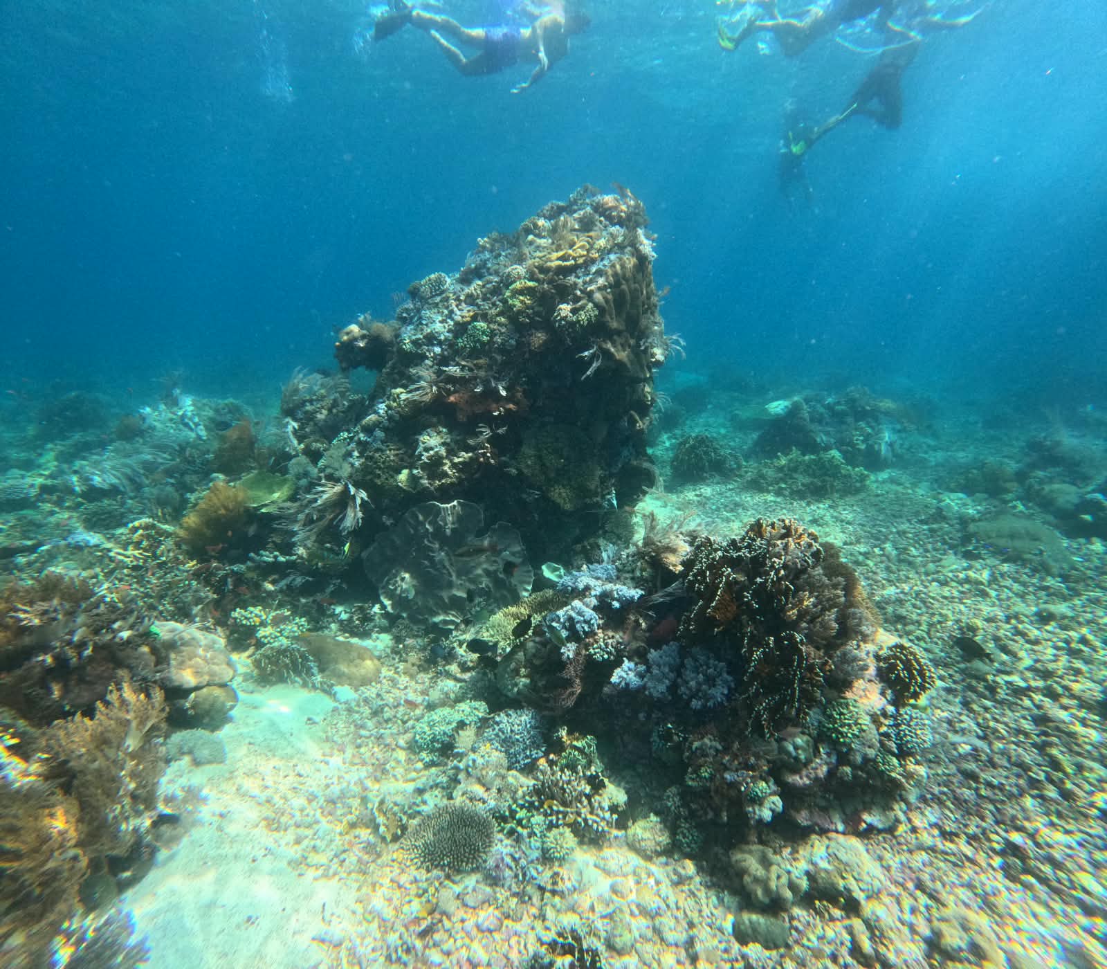 Komodo National Park & Padar Bay - photo 12