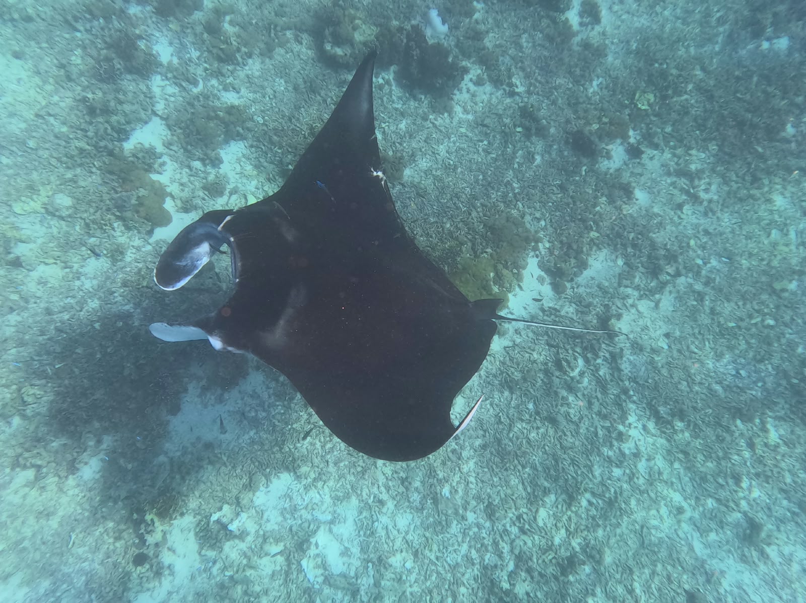 Komodo National Park & Padar Bay - photo 18